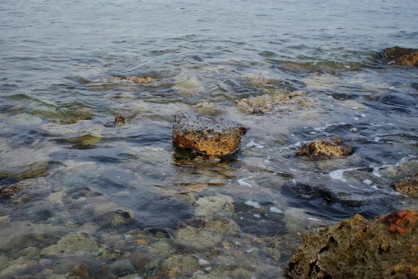 beach, nature, red sea, sea, coastline, water, seascape, bay, sunny, travel destination, saudi arabia, jeddah, jeddah city, saudi arabia, saudi arabia, saudi arabia, saudi arabia, saudi arabia, j